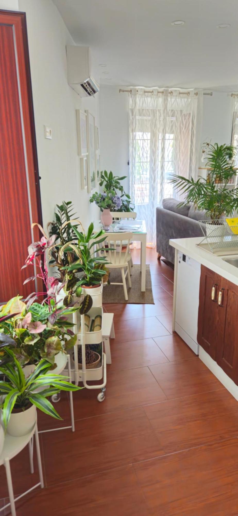 Apartamentos Los Descalzos Ángel Ronda Exterior foto