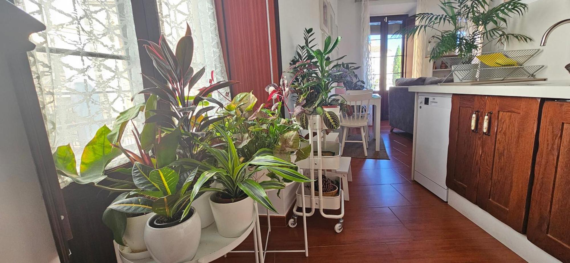 Apartamentos Los Descalzos Ángel Ronda Exterior foto