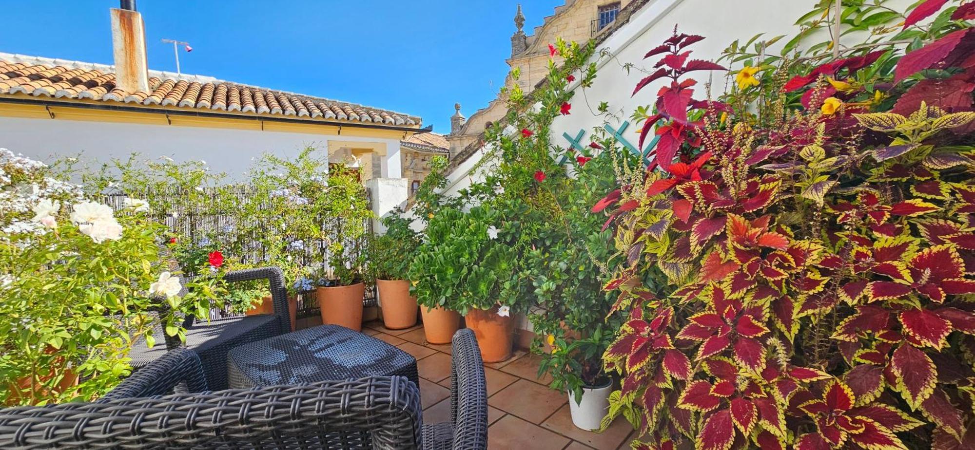 Apartamentos Los Descalzos Ángel Ronda Exterior foto
